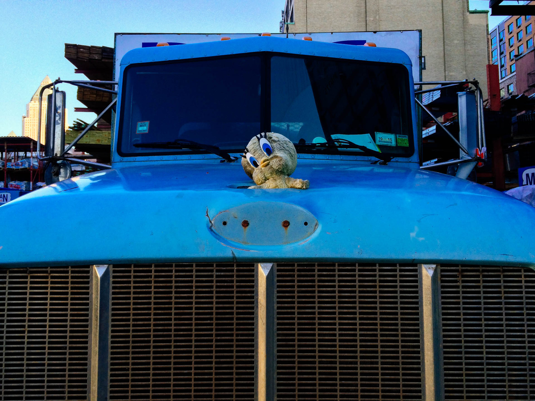 Grill Bears